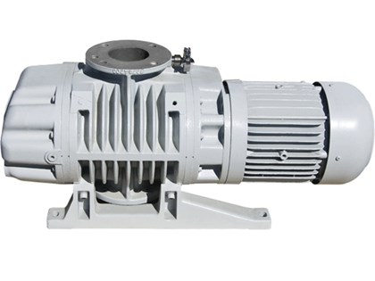 <b>Leybold萊寶羅茨泵  WA1001</b>